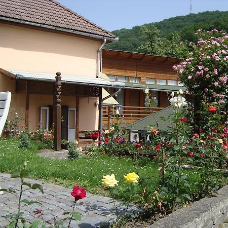 ソバタCasa Katonaアパートメント エクステリア 写真